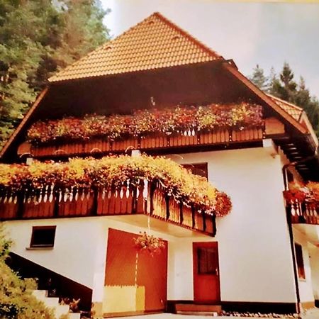Ferienwohungen Im Kuchersbach Hornberg Esterno foto