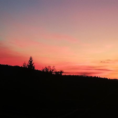 Ferienwohungen Im Kuchersbach Hornberg Esterno foto