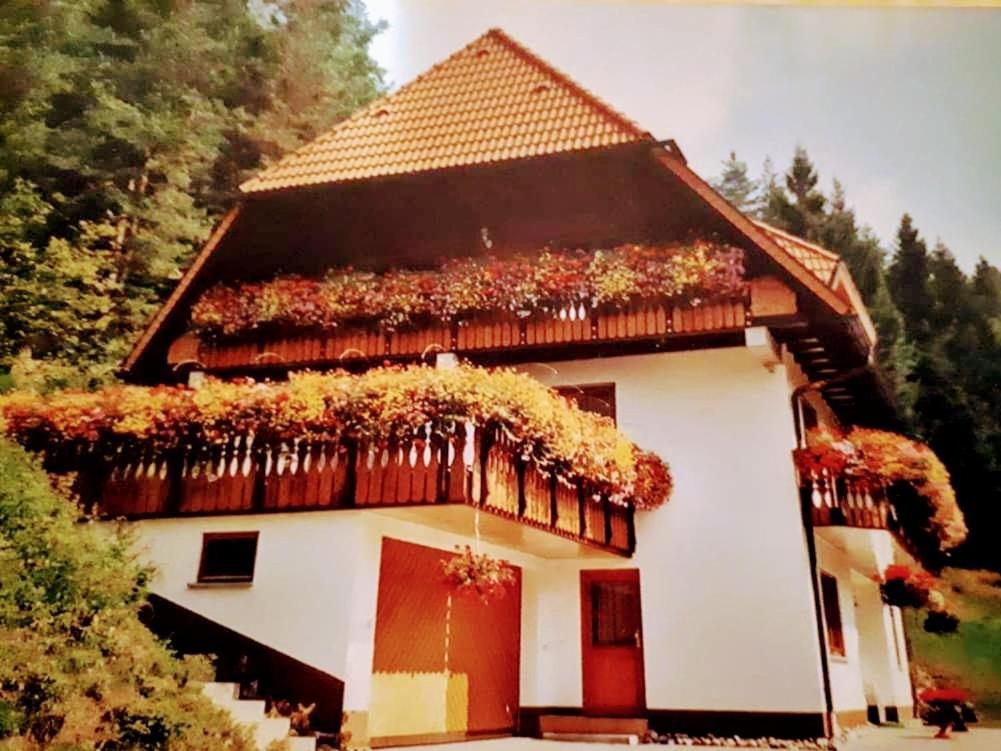 Ferienwohungen Im Kuchersbach Hornberg Esterno foto