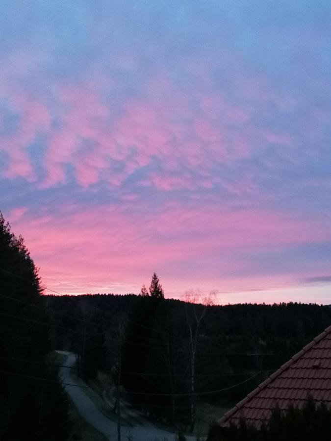 Ferienwohungen Im Kuchersbach Hornberg Esterno foto