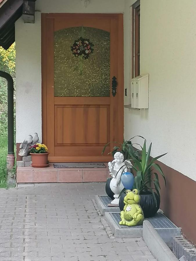 Ferienwohungen Im Kuchersbach Hornberg Esterno foto