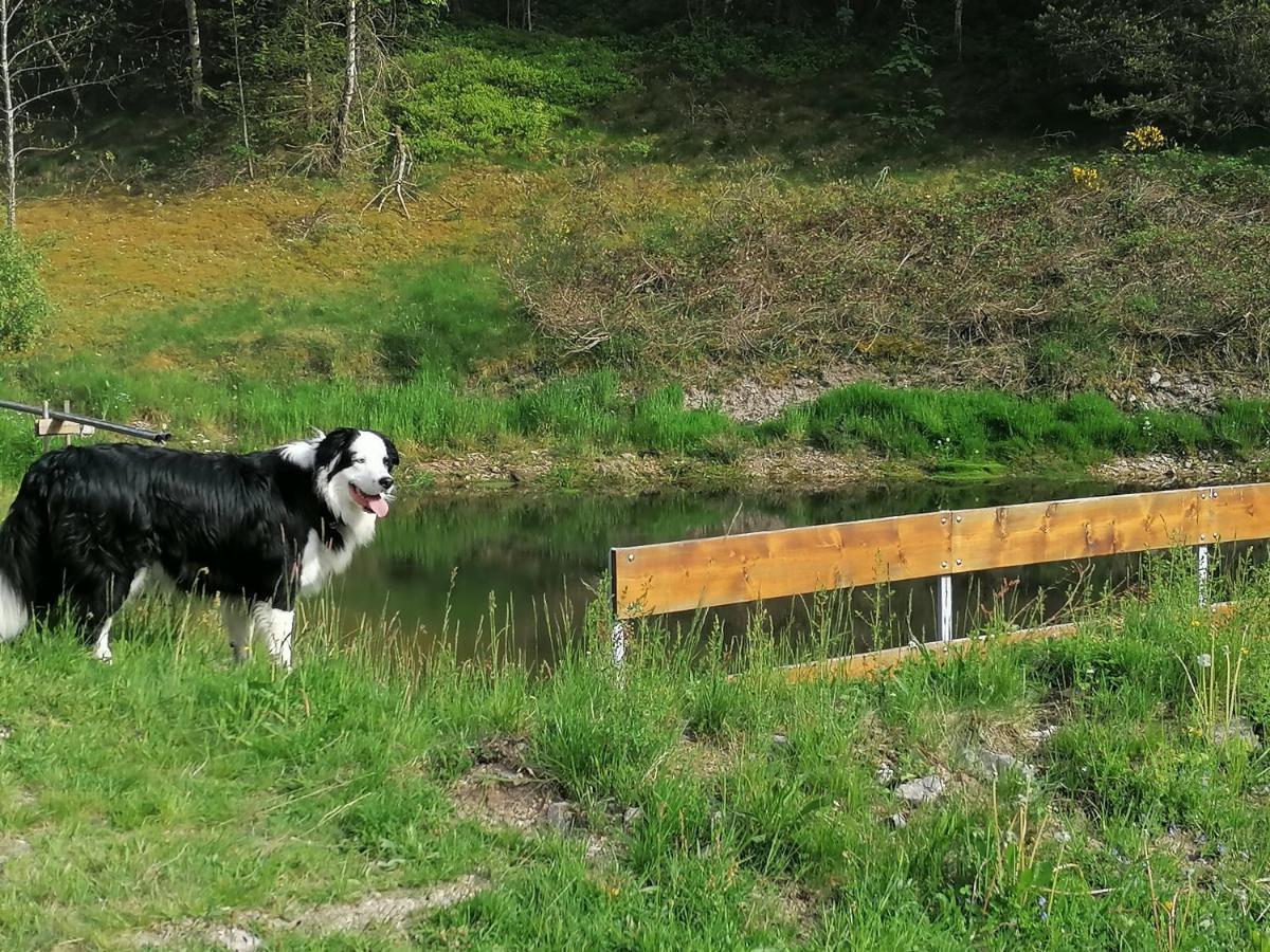 Ferienwohungen Im Kuchersbach Hornberg Esterno foto