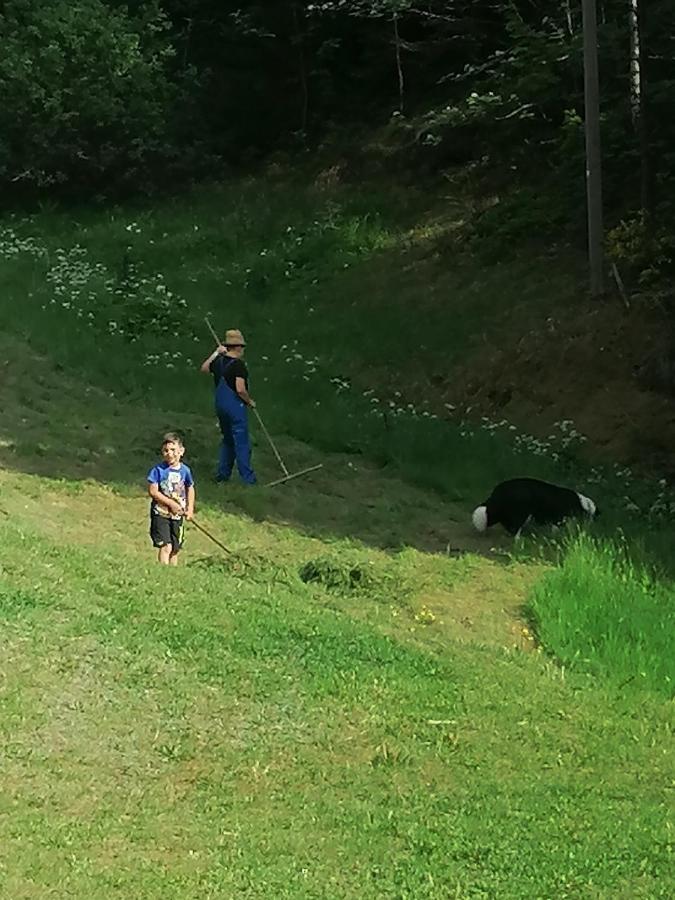 Ferienwohungen Im Kuchersbach Hornberg Esterno foto