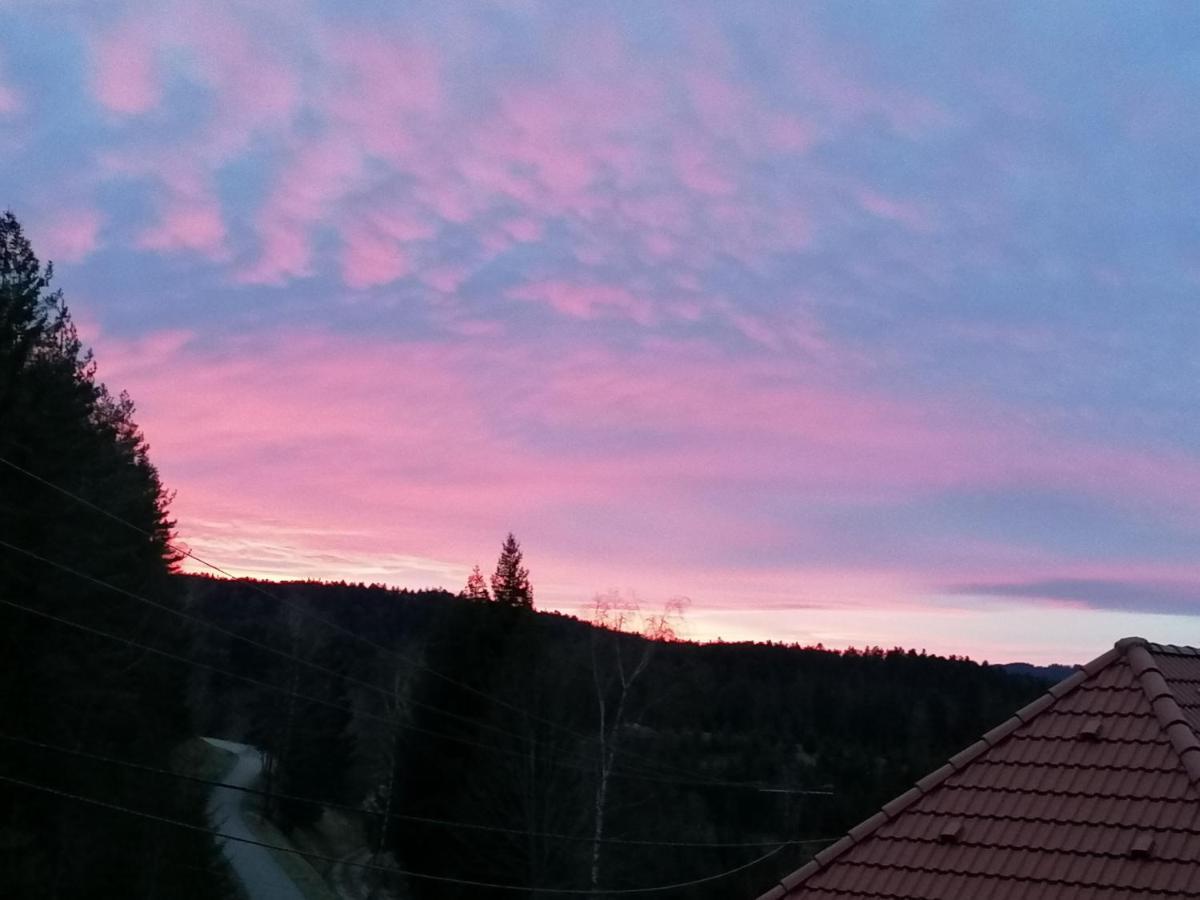 Ferienwohungen Im Kuchersbach Hornberg Esterno foto