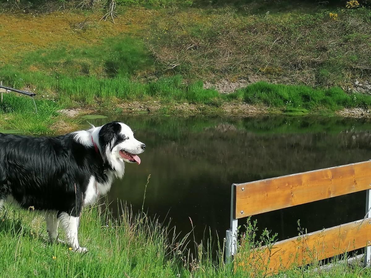 Ferienwohungen Im Kuchersbach Hornberg Esterno foto