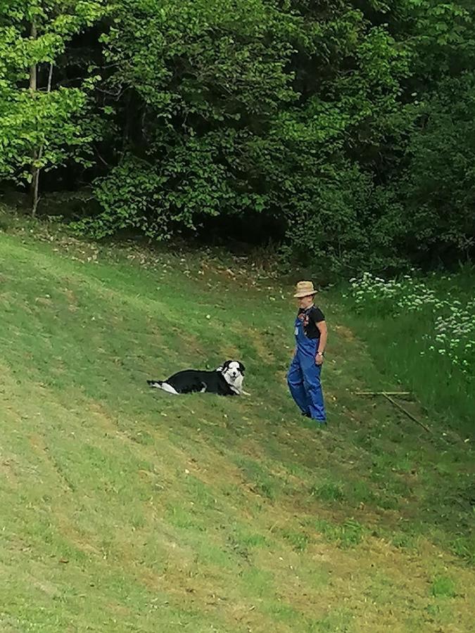 Ferienwohungen Im Kuchersbach Hornberg Esterno foto