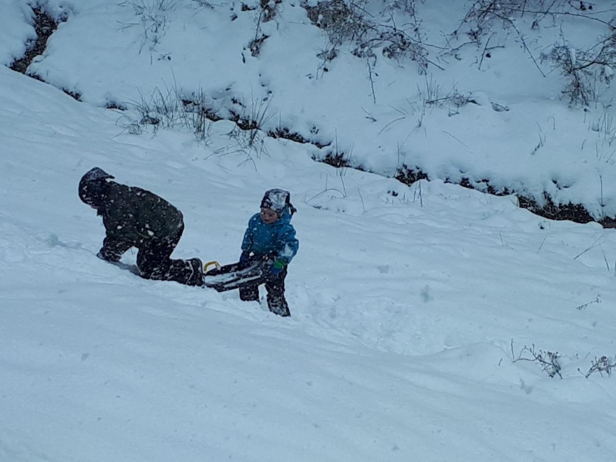 Ferienwohungen Im Kuchersbach Hornberg Esterno foto