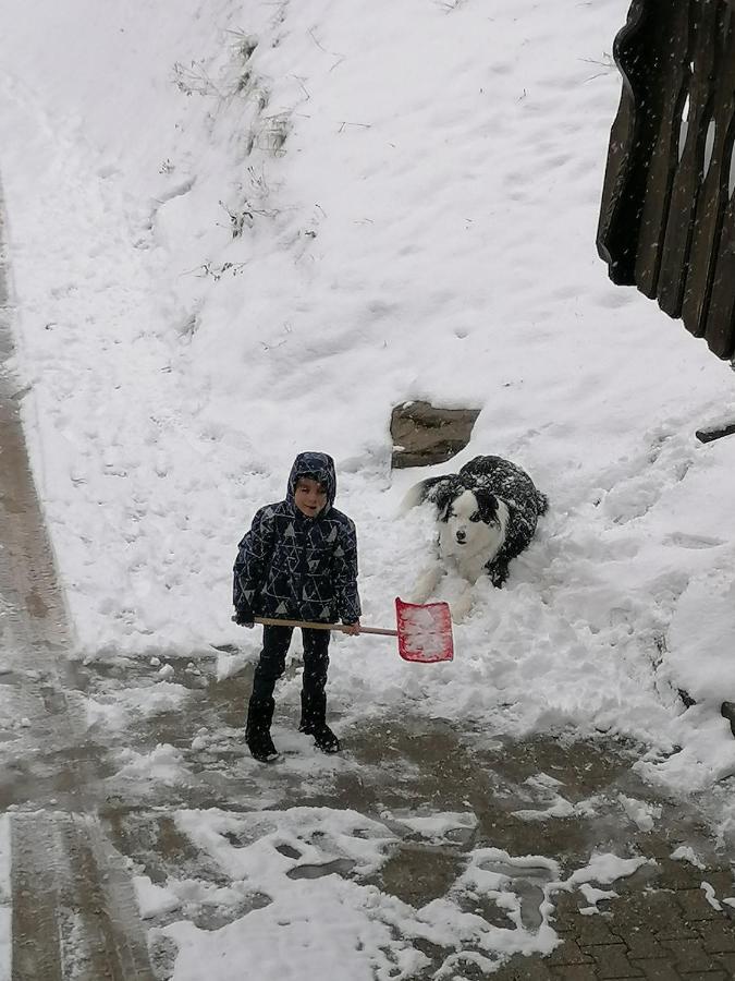 Ferienwohungen Im Kuchersbach Hornberg Esterno foto