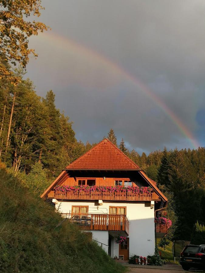 Ferienwohungen Im Kuchersbach Hornberg Esterno foto